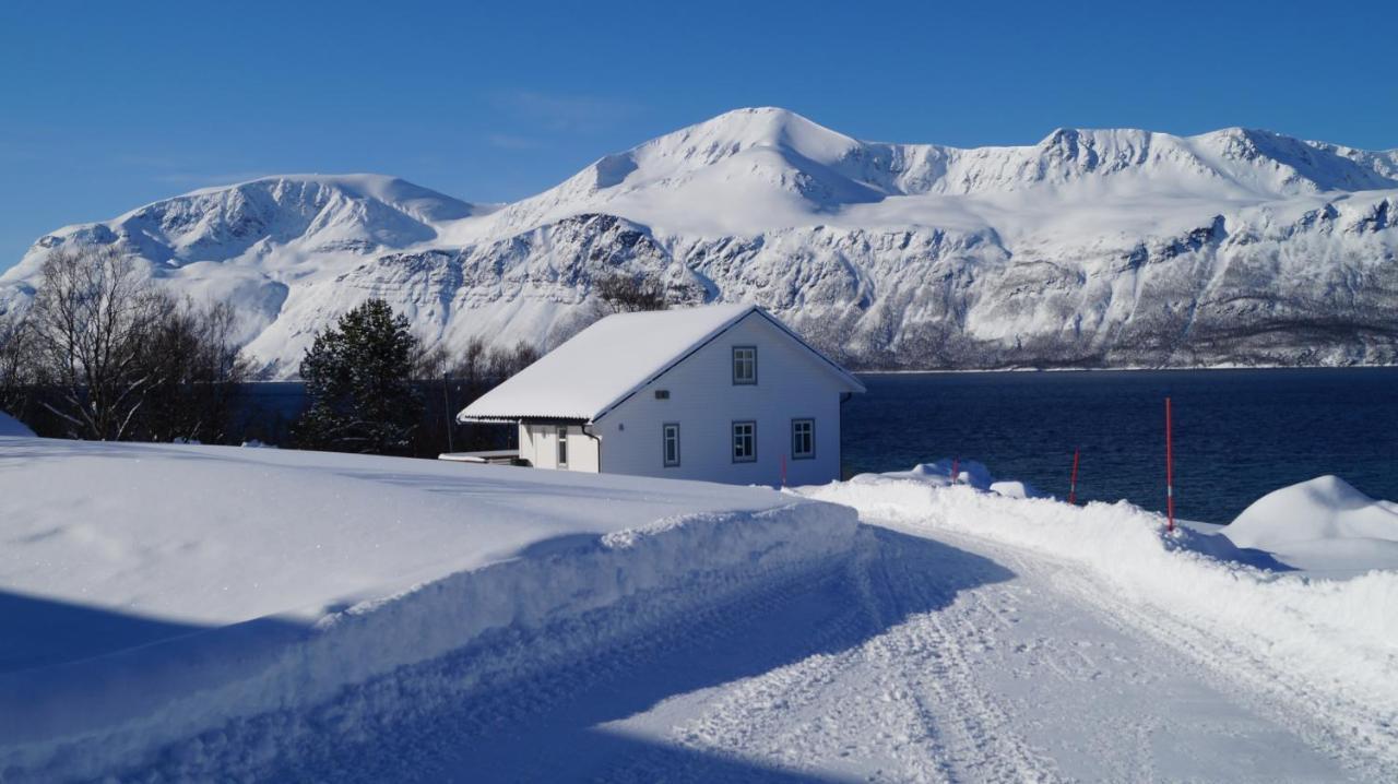 Heggelund Villa Svensby Bagian luar foto