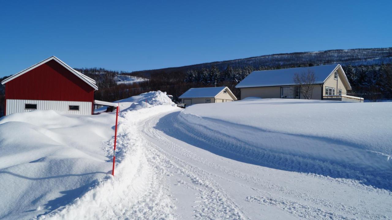 Heggelund Villa Svensby Bagian luar foto